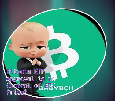 Baby btc