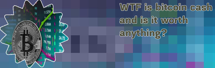 Bit coin worth