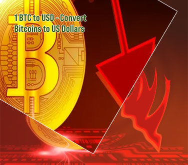 Bitcoin value converter