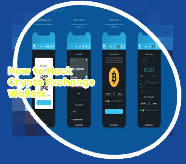 Wants bitcoin to exchanges wallets on